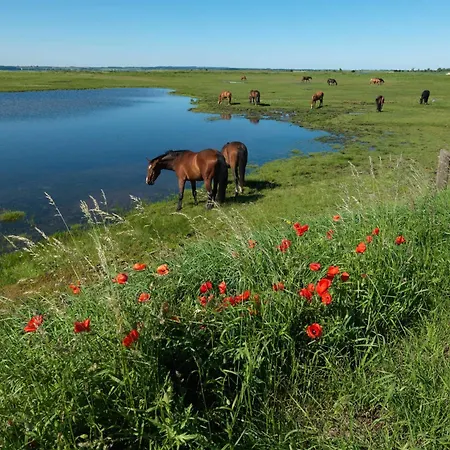 Steinfurths Huesing Gartenoase *