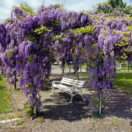 Steinfurths Huesing Gartenoase * Insel Poel